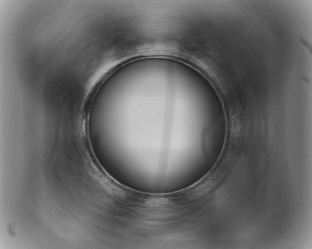 X0000102241462200807251249