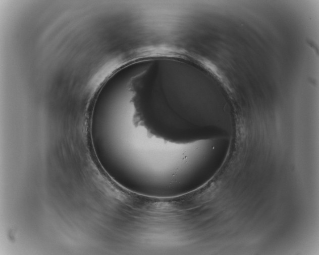 X0000102241463200807251249