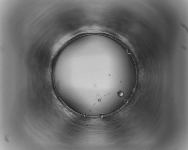 X0000102241464200807251249
