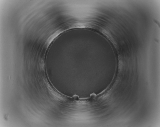 X0000102241465200807251249