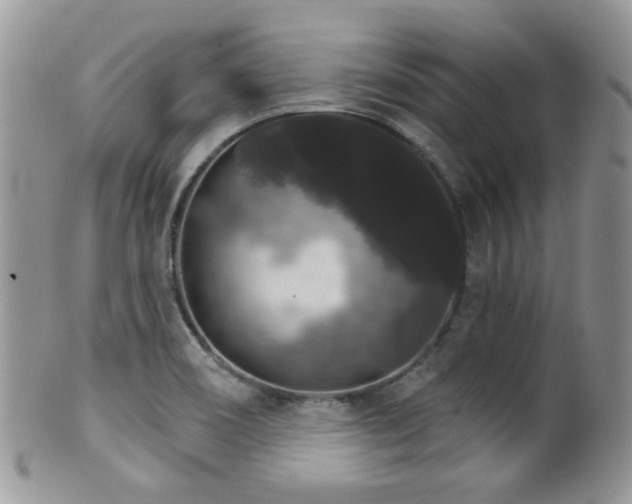 X0000102241466200807251249