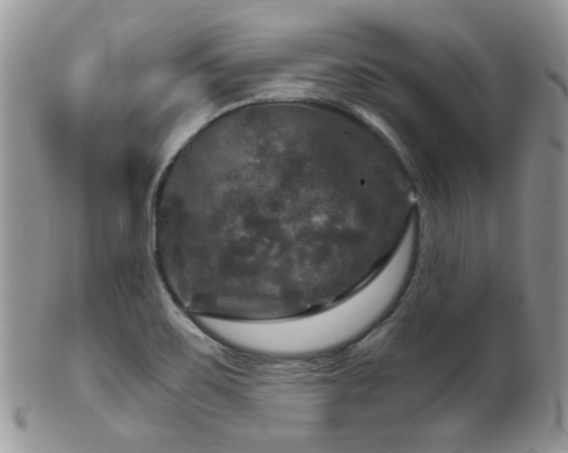 X0000102241467200807251249