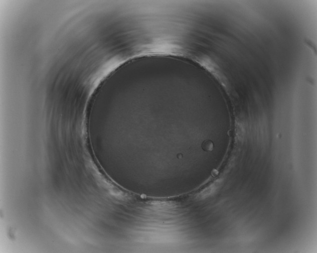 X0000102241469200807251249