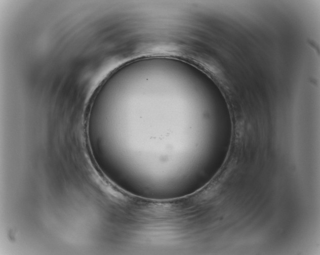 X0000102241470200807251249