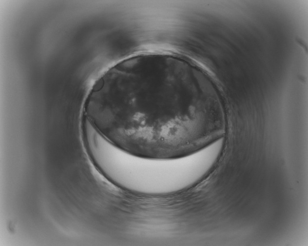 X0000102241471200807251249