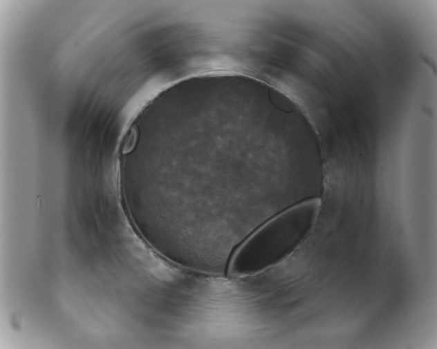 X0000102241472200807251249