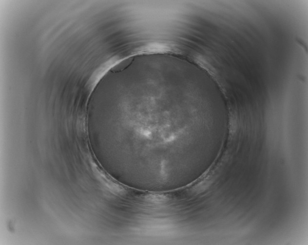 X0000102241473200807251248