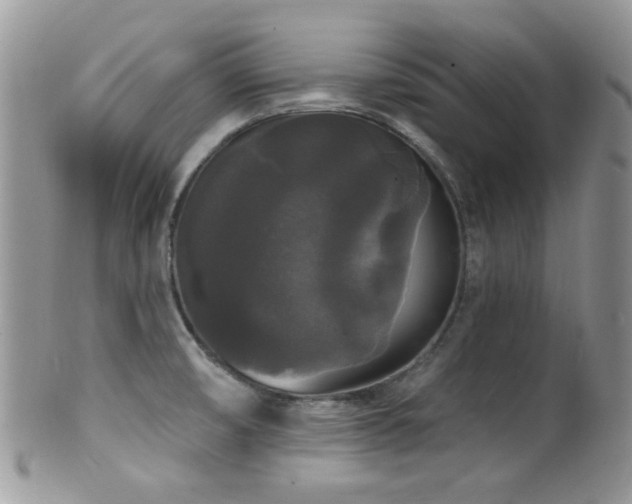 X0000102241474200807251248