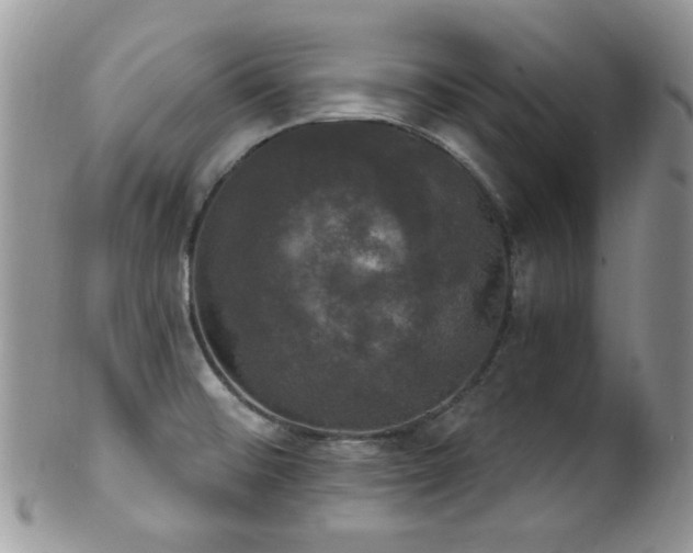 X0000102241476200807251248