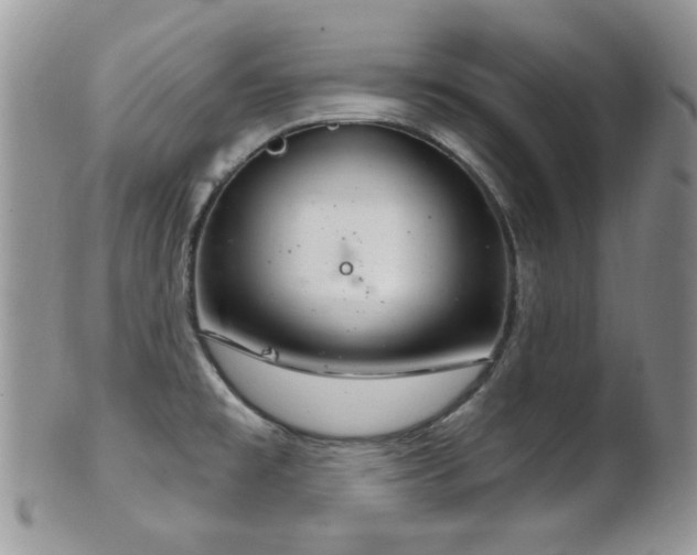 X0000102241477200807251248