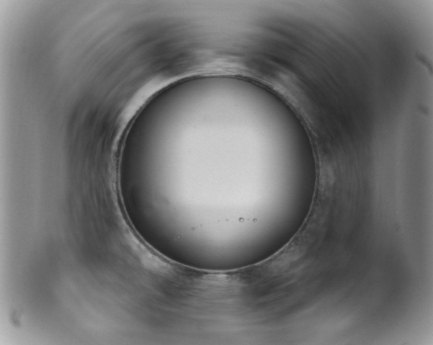 X0000102241478200807251248