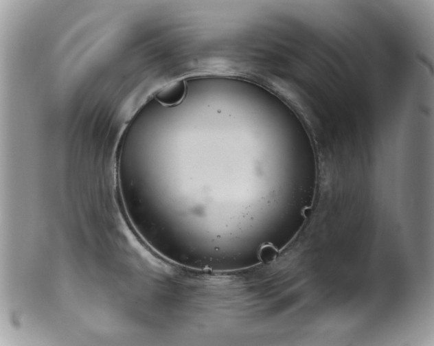 X0000102241479200807251248