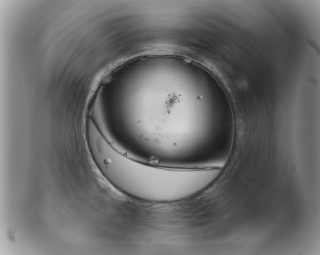 X0000102241480200807251248