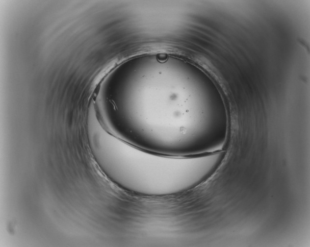 X0000102241481200807251248