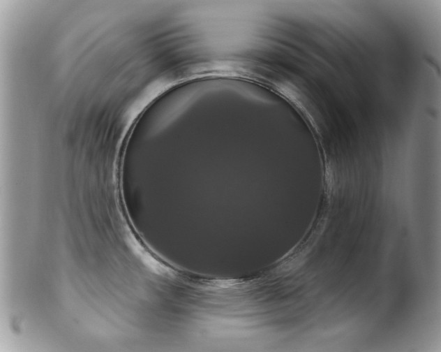 X0000102241482200807251248