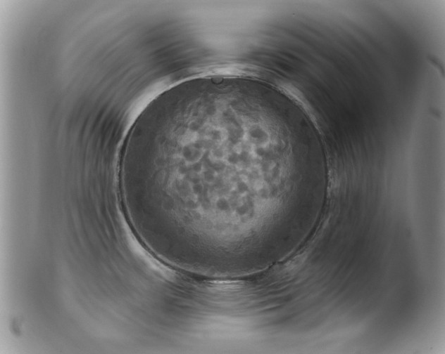 X0000102241483200807251248