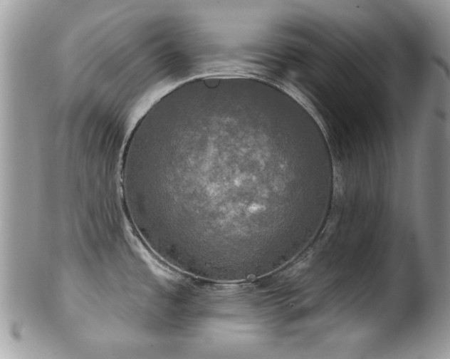 X0000102241485200807251248