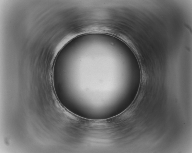 X0000102241486200807251248