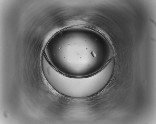 X0000102241488200807251248