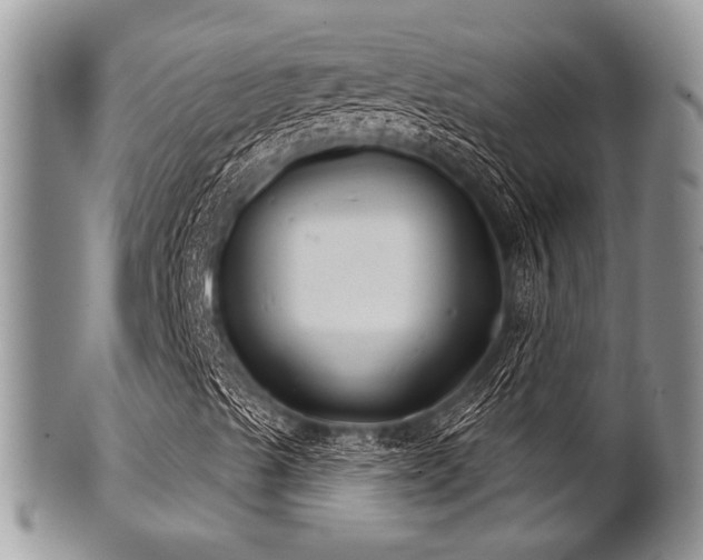 X0000102241489200807251248