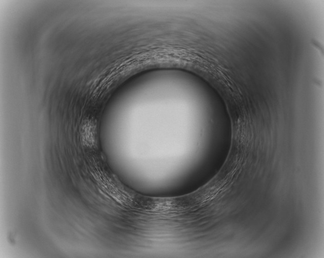 X0000102241490200807251248