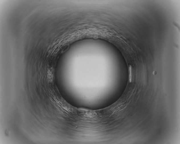 X0000102241491200807251248
