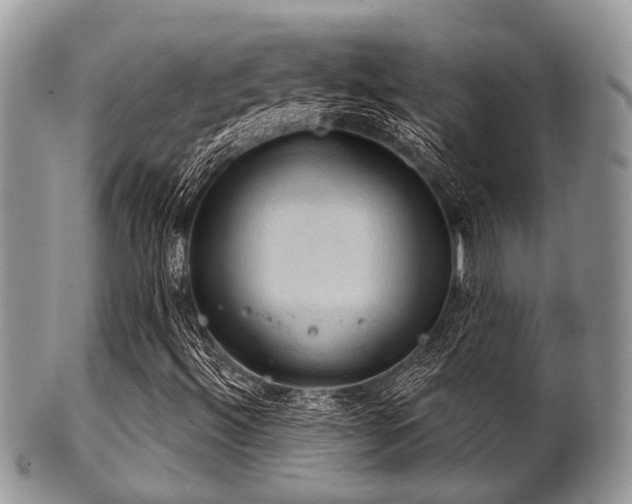 X0000102241492200807251248