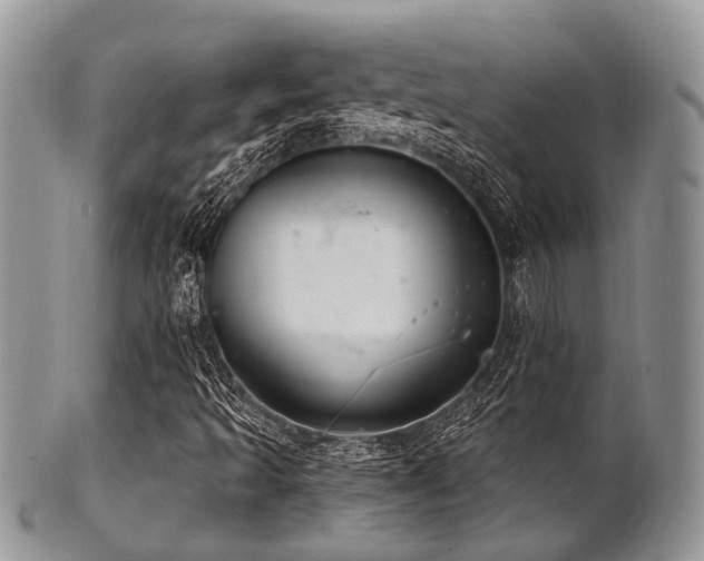 X0000102241493200807251248
