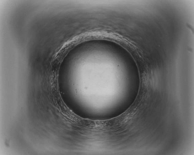 X0000102241494200807251248