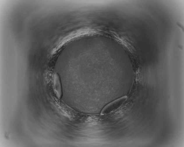 X0000102241496200807251248