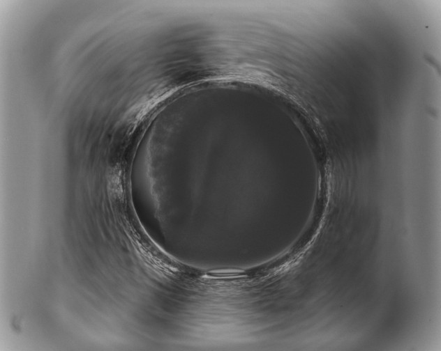 X0000102241497200807251248