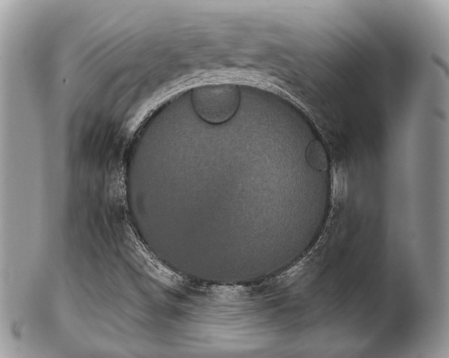 X0000102241498200807251248