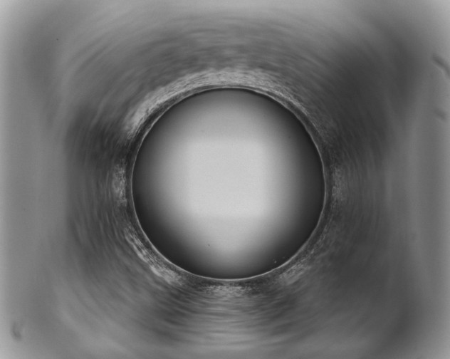 X0000102241499200807251248