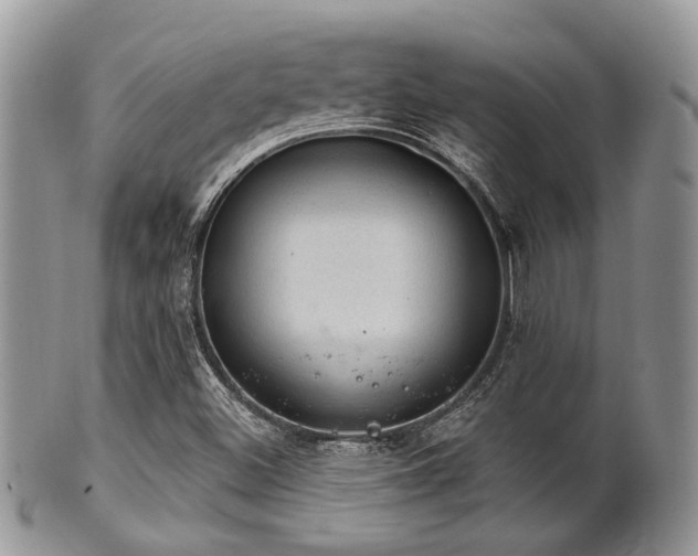 X0000102241500200807251248