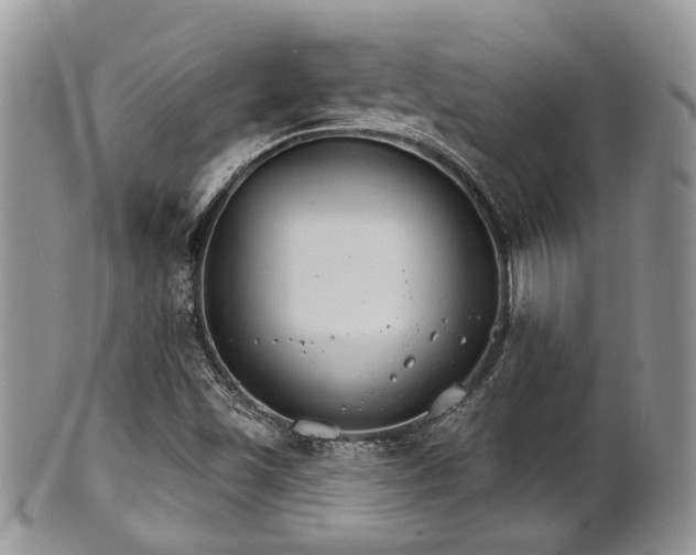 X0000102241501200807251248