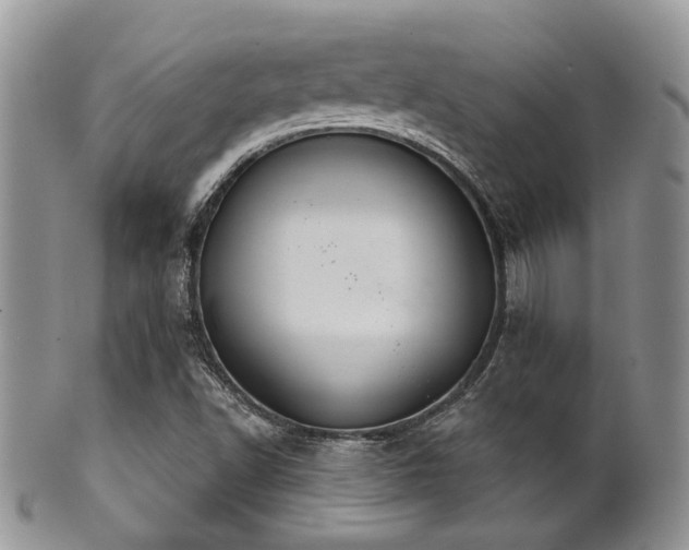 X0000102241502200807251248