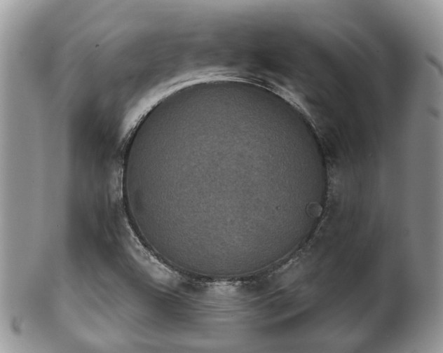 X0000102241504200807251248