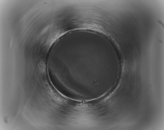 X0000102241505200807251248
