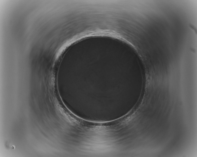 X0000102241506200807251248