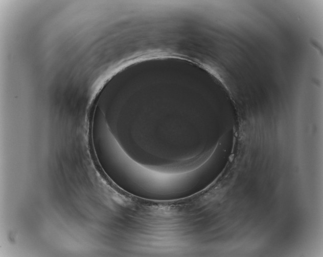 X0000102241508200807251248