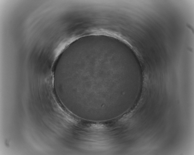 X0000102241509200807251248