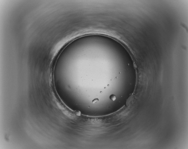 X0000102241511200807251248
