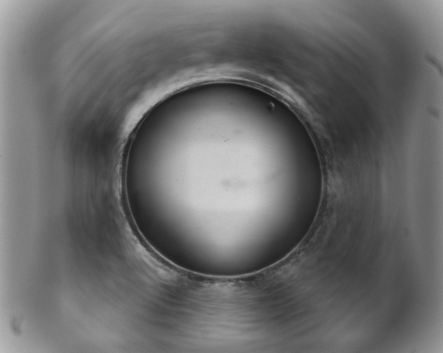X0000102241512200807251248
