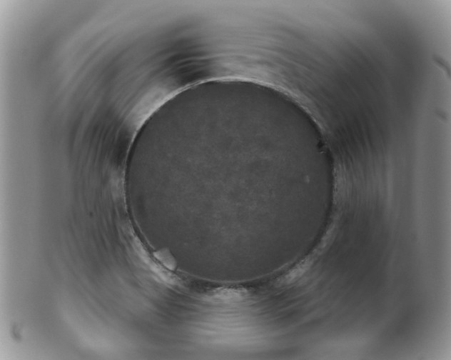 X0000102241513200807251248