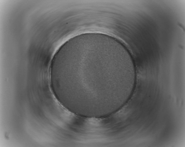 X0000102241514200807251248