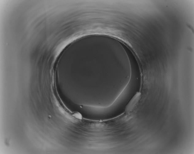 X0000102241515200807251248