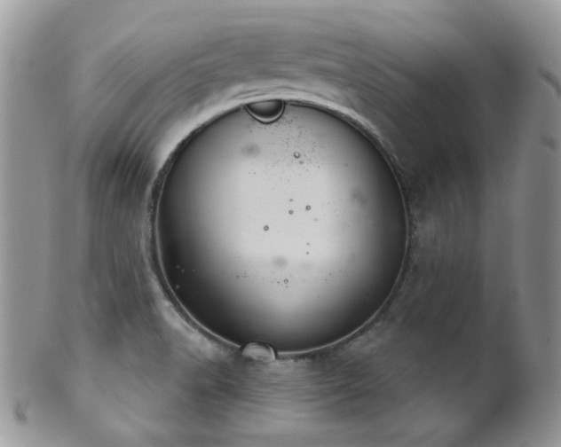 X0000102241518200807251248