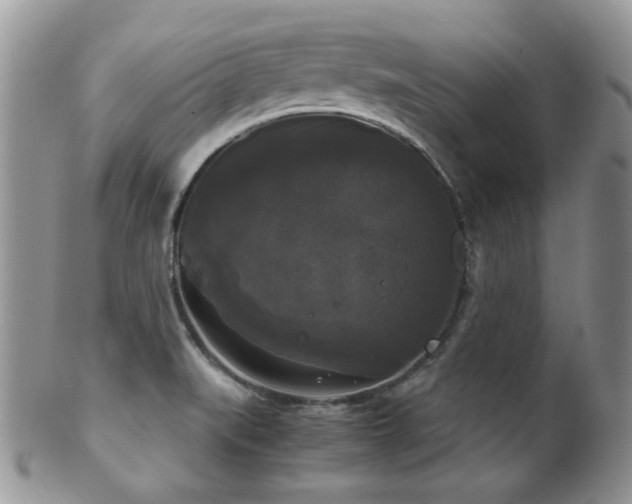 X0000102241519200807251248