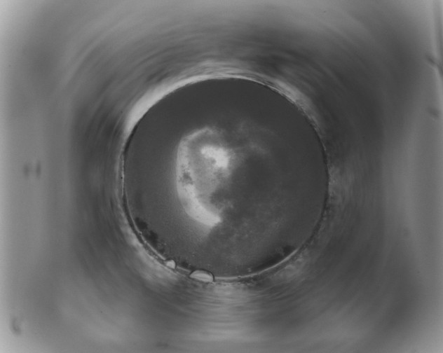 X0000102241520200807251248