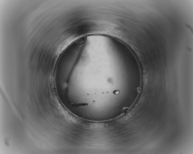 X0000102241521200807251248